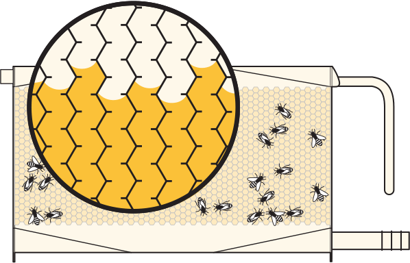cấu tạo cầu ong thông minh
